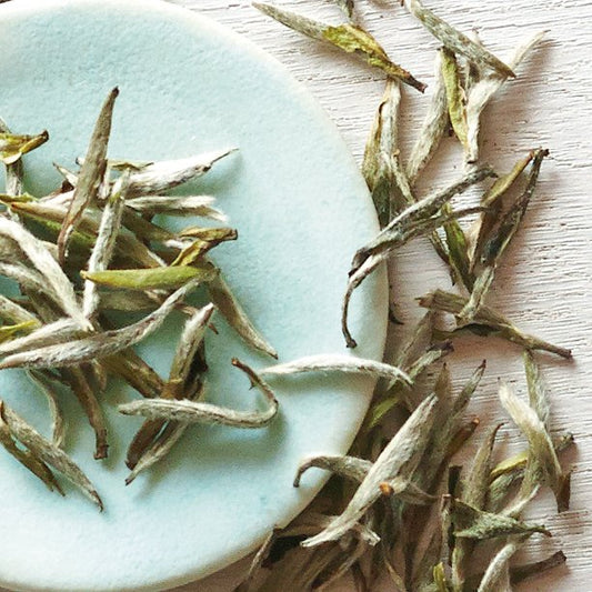 How to Steep White Tea