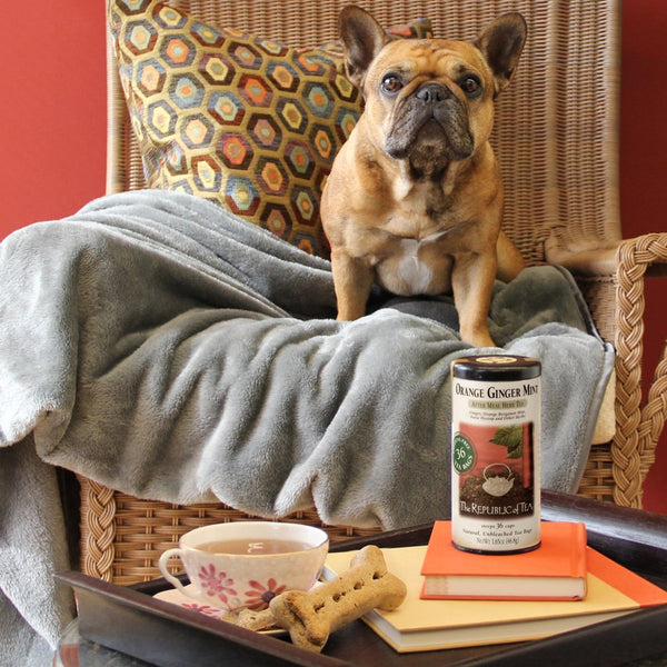Dog Days of Summer: Tea for Dogs