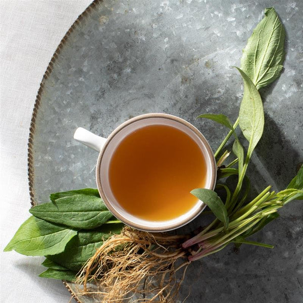 Best Ways to Drink Rooibos Tea