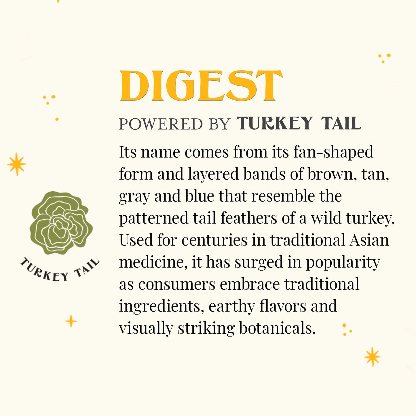 Organic Digest SuperShroom Black Tea