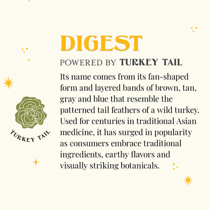Organic Digest SuperShroom Black Tea