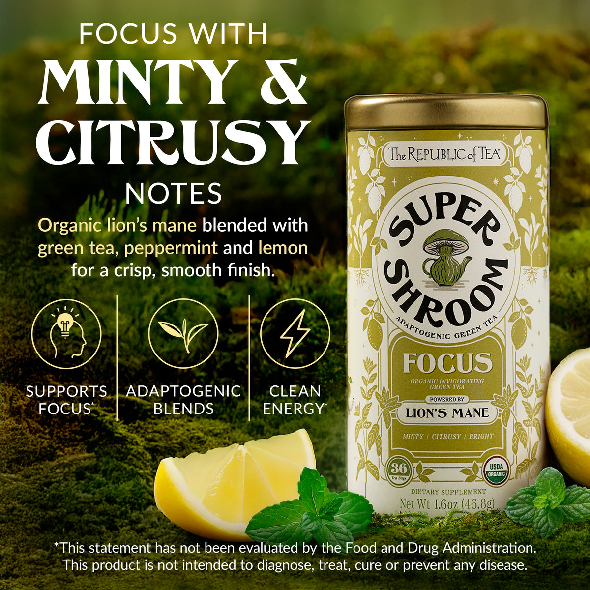 Organic Focus SuperShroom Green Tea