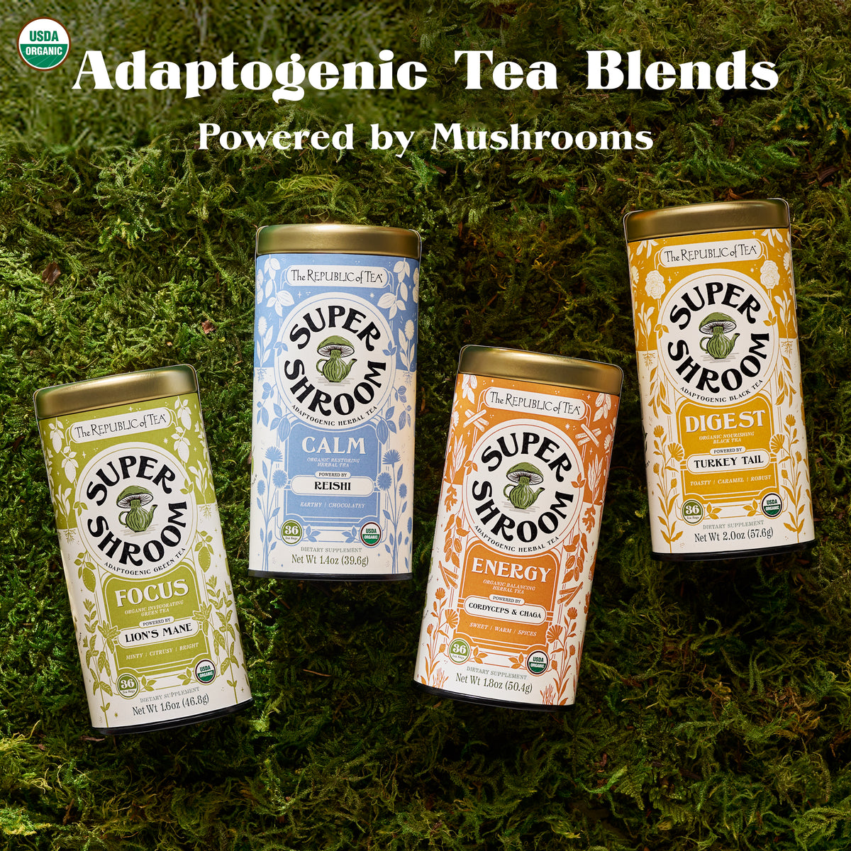 Organic Focus SuperShroom Green Tea
