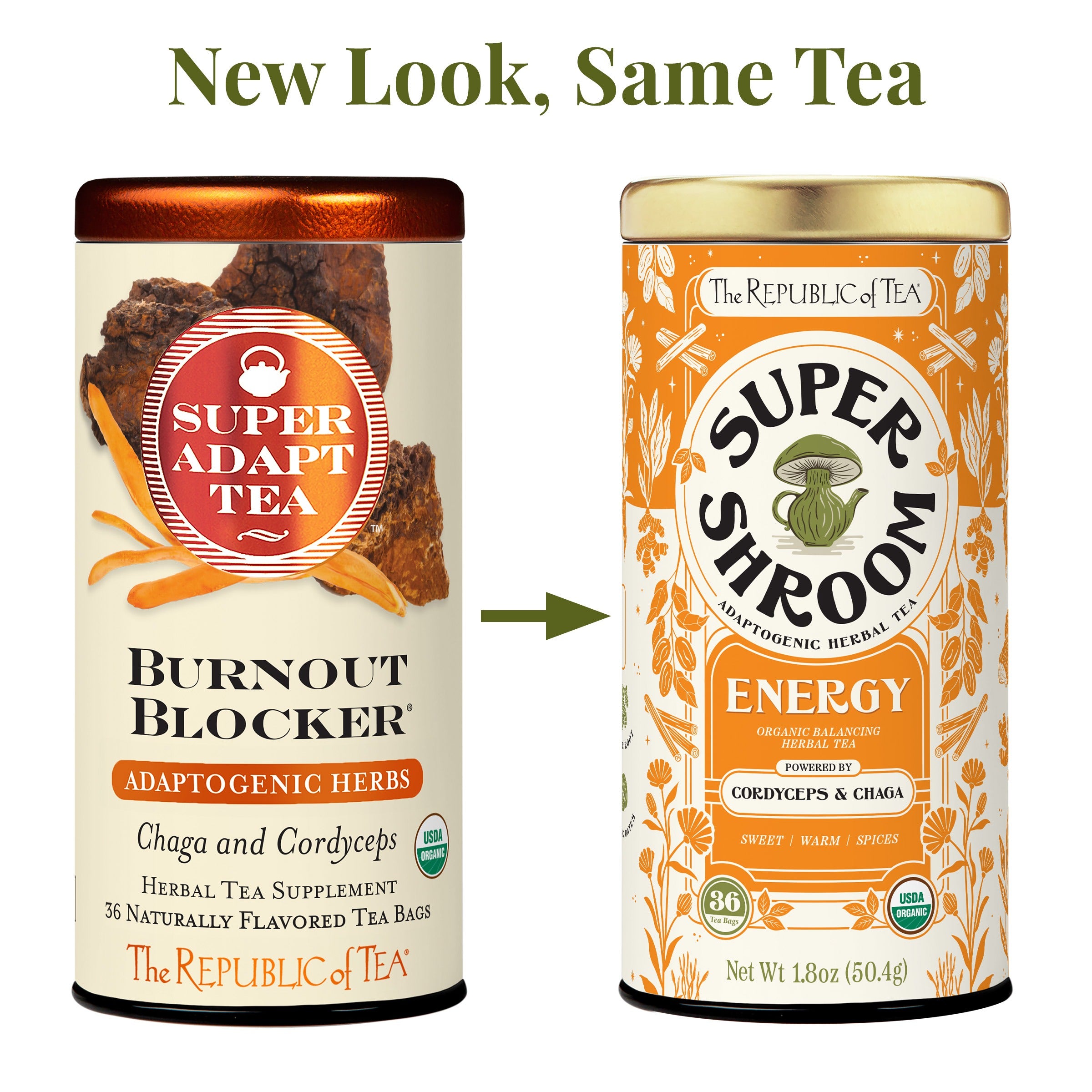 Organic Energy SuperShroom Herbal Tea – The Republic of Tea