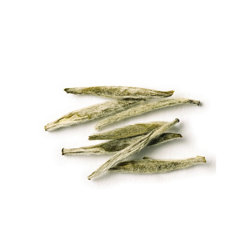 Silver Rain White Full-Leaf Tea