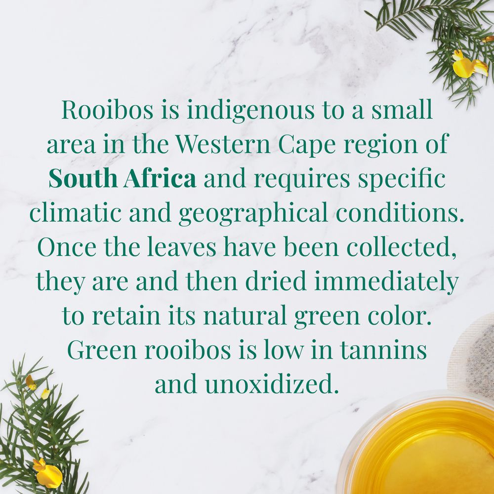 Organic South African Green Rooibos SuperHerb® Herbs of Origin Tea Bags