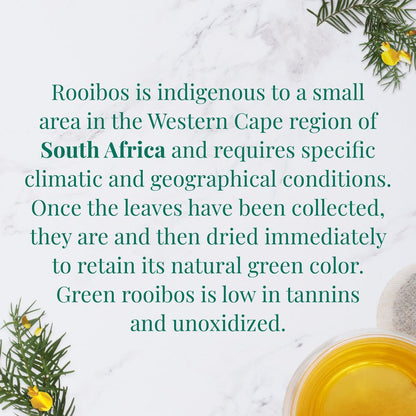 Organic South African Green Rooibos SuperHerb® Herbs of Origin Tea Bags