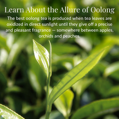 Milk Oolong Full-Leaf Tea