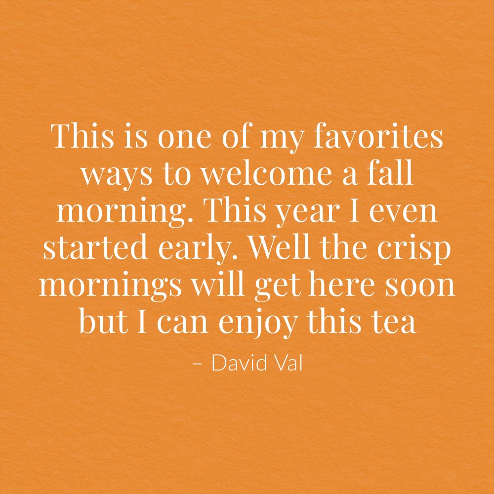 Pumpkin Spice Black Tea Bags