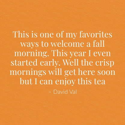 Pumpkin Spice Black Tea Bags