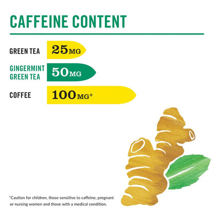 HiCAF® Gingermint Green Tea Bags