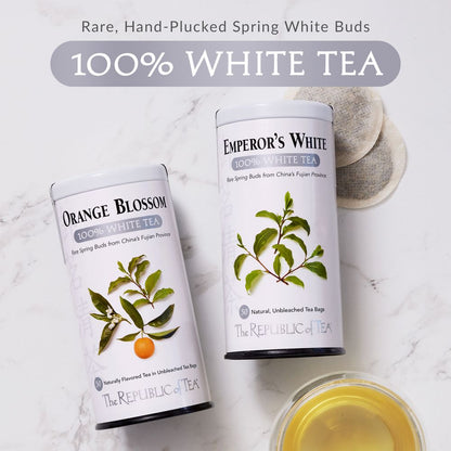 Honey Mango 100% White Tea Bags