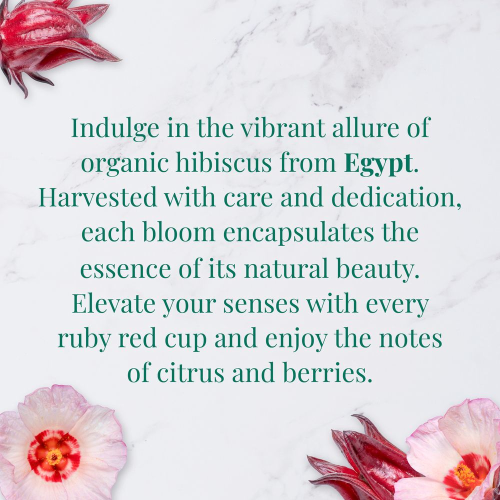 Organic Egyptian Hibiscus SuperHerb® Herbs of Origin Tea Bags – The  Republic of Tea