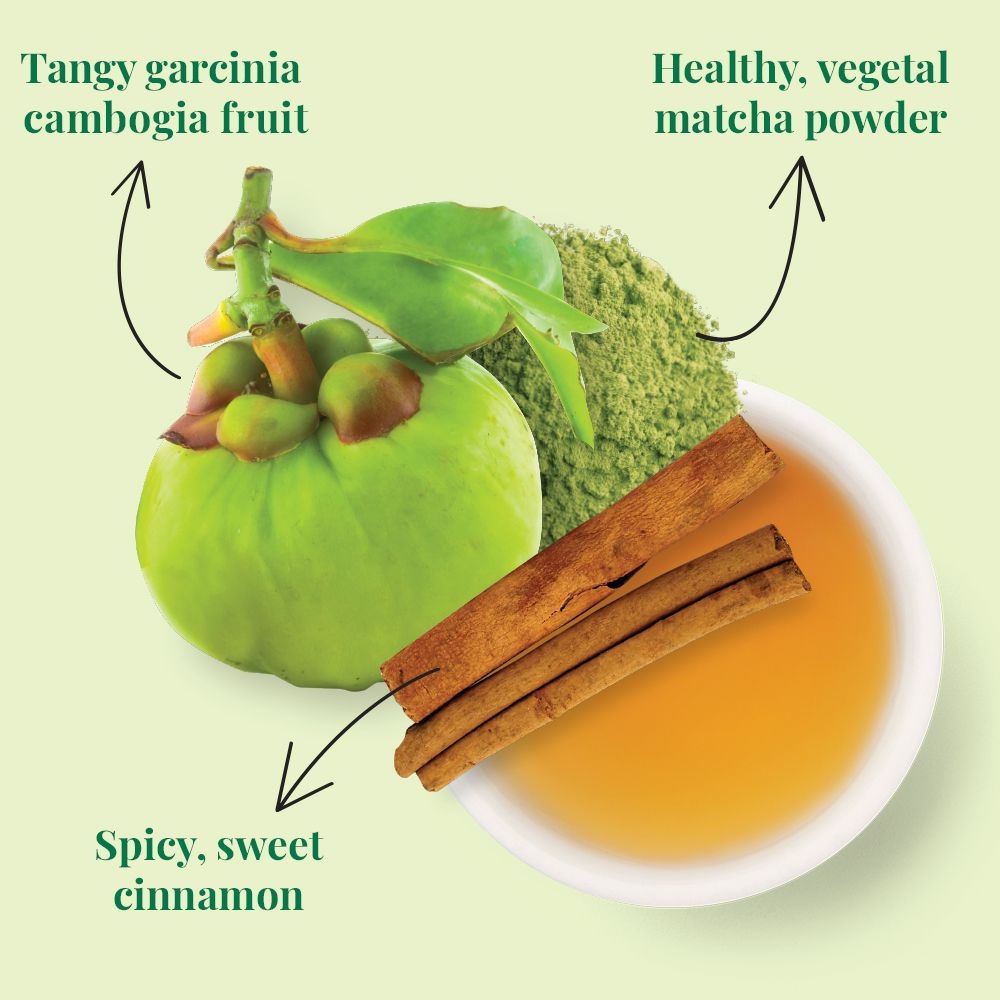 Organic Lean Green SuperGreen Tea Bags – The Republic of Tea