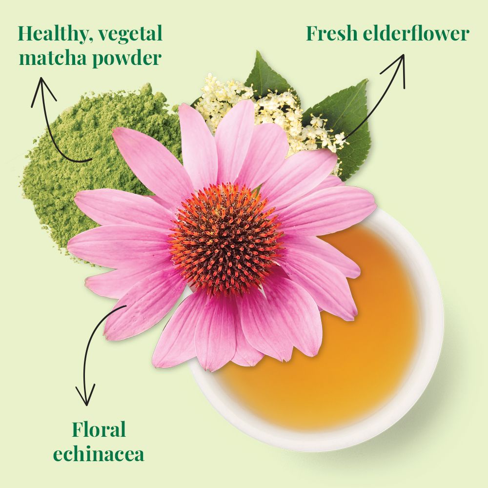 Organic Immunity SuperGreen Tea Bags