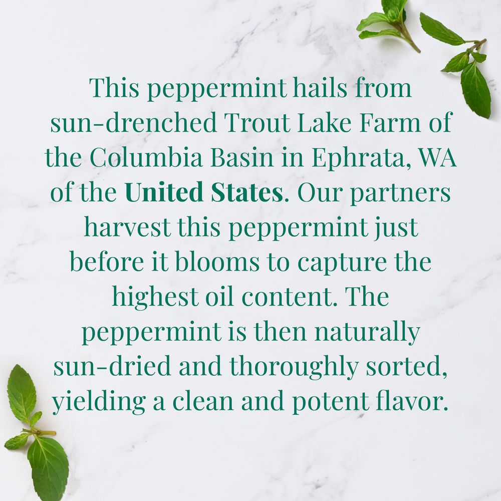 Organic American Peppermint SuperHerb® Herbs Of Origin Tea Bags