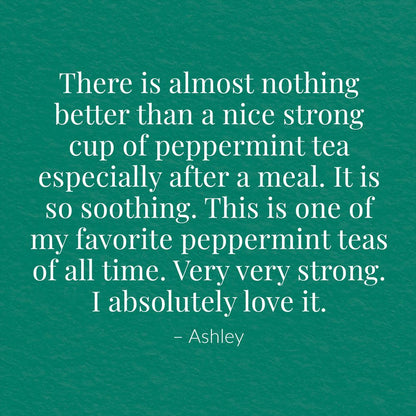 Organic American Peppermint SuperHerb® Herbs Of Origin Tea Bags