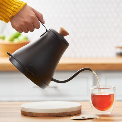 Melior Gooseneck Water Kettle