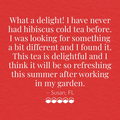 Cold Brew Hibiscus Aronia Blackberry Iced Tea Pouches