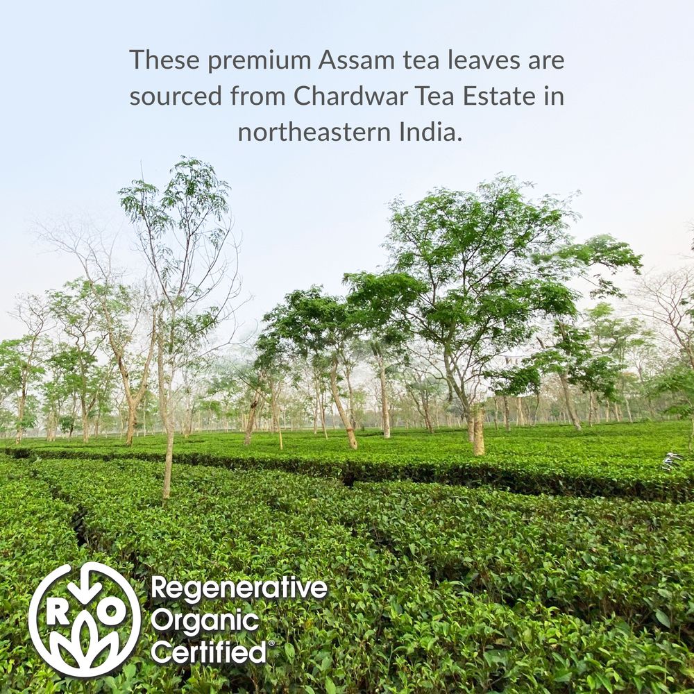 Regenerative Organic Certified® Assam Black Iced Tea Pouches